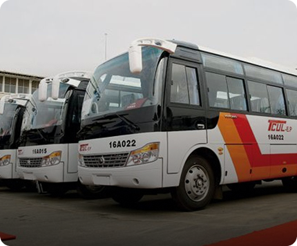 Citywide Local Bus Service Options