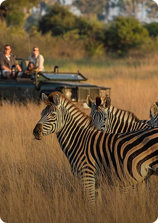 Eco-Tourism